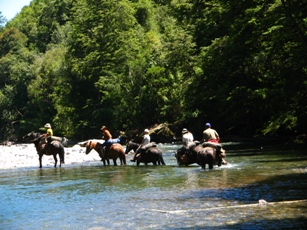 Durchqueren des Oberlaufs des Rio Blanco auf unserem Reitabenteuer in den Chilenischen Anden